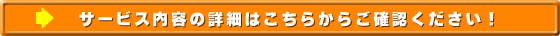 nProtect:Personal�ڍ�