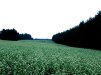 ���Z���t��