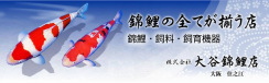 大谷錦鯉店